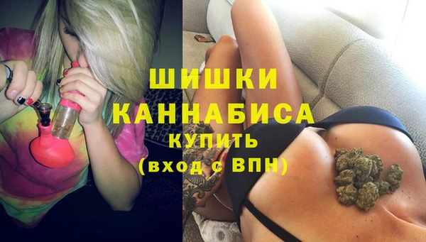 винт Нягань