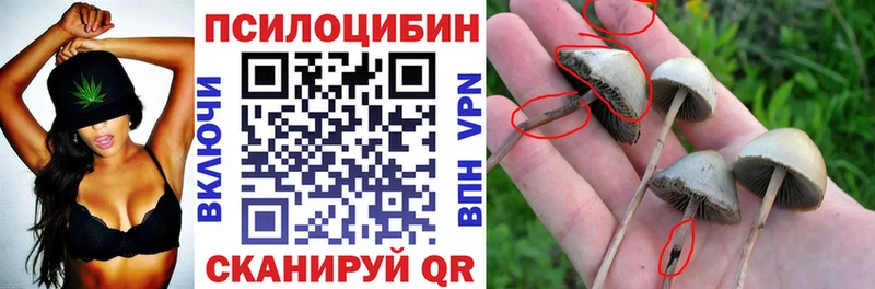 Псилоцибиновые грибы мухоморы  Купить  Тырныауз 